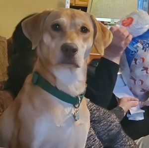 Meet your Posher, Cassie